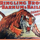 Decoration 11x14 Poster.Room art wall design.Circus tiger.9028