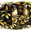 Decoration 11x14 Poster.Room art wall design.Fairy stories.9174