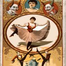 Decoration 11x14 Poster.Room art wall design.Circus.Clodoche Family.9227