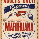 Decoration 16x20 Poster.Room art wall design.Marihuana movie.Adults only.8866