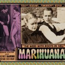 Decoration 16x20 Poster.Room art wall.Weed with roots in hell.Marihuana movie.8868 Decoration 16x20 Poster.Room art wall.Weed with roots in hell.Marihuana movie.8868