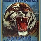 Decoration 16x20 Poster.Room art wall design.Circus tiger.9016