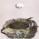 Decoration 16x20 Poster.Room art wall design.Nest and egg.Cerebral art.9122