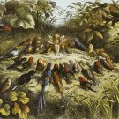 Decoration 16x20 Poster.Room art wall design.Fairy stories.9190