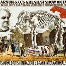 Decoration 16x20 Poster.Room art wall design.Circus elephant skeleton.9207
