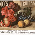 Decoration 16x20 Poster.Room art wall design.Medicinal fruit salt.9294