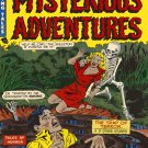 Decoration 16x20 Poster.Room art wall design.Comic book cover.Mysterious adventures.9502