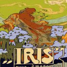 Decoration 16x20 Poster.Room art wall design.Iris.9546 Decoration 16x20 Poster.Room art wall design.Iris.9546