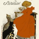 Decoration 16x20 Poster.Room art wall design.Cats begging for soup.9556 Decoration 16x20 Poster.Room art wall design.Cats begging for soup.9556