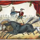 9092.Decoration Poster.Home wall design.Room art.Circus Victorian acrobats