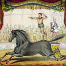 7707.Decoration Poster.Home Room wall design art print.Circus show.Acrobatics