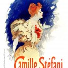 Camille Stefani celeb wall Decor Poster. Bedroom Interior design Art design 3194