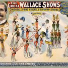 Decoration Poster.Home room art.Interior design.Wallace Stirk Circus Shows.7461