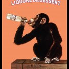 7682.Decoration Poster.Home Room wall design art.Anisetta Evangelisti monkey