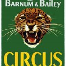 8253.Decoration Poster.Home Room wall art design print.Ringling Barnum Circus