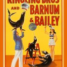 8731.Decoration Poster.Home Room wall art design.Ringling Circus.Seals show