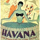8435.Decoration Poster.Home Room wall art design.Havana Cuba Carnival decor
