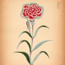 8493.Decoration Poster.Home Room wall interior art design.Flower beauty decor