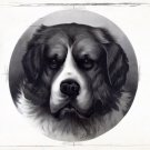 9439.Decoration Poster.Room interior design wall art.Portrait drawing Pet Dog