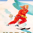 Decor POSTER.Home room Interior art design.Norge Ski resort.Skiing.Travel.7075