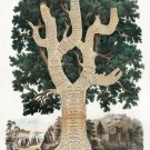 7513.Decoration Poster.Home Room design.Chronological Chart of American history