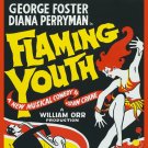 Decoration Poster.Home room art.Interior design.Flaming Youth.Theater play.7169