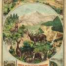 9450.Decoration Poster.Room interior.Wall design art.The Golden West.Wildlife
