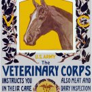 7940.Decoration Poster.Home Room wall fashion art design.Veterinary Corps.Horses