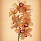 8491.Decoration Poster.Home Room wall interior art design.Flower Bouquet decor