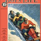 Decoration Poster.Home room art.Interior design.Winter snow Bobsleigh sport.7422