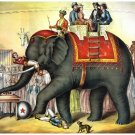 7978.Decoration Poster.Home Room wall art interior design.Elephant ride.Circus