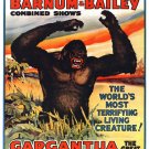 7786.Decoration Poster.Home Room wall interior art design.Gargantua big gorilla 7786.Decoration Poster.Home Room wall interior art design.Gargantua big gorilla