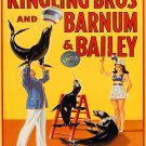 Decoration Poster.Home room art.Interior design.Circus Ringling Bros Seals.7427
