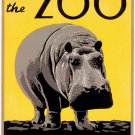7818.Decoration Poster.Home Room wall interior art design.Philadelphia Zoo.Hippo