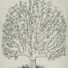 9498.Decoration Poster.Room Wall art.Home decor.1878 Tree of Right & Wrong Laws