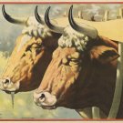 9677.Decoration Poster.Room Wall art.Home interior decor.The Sacred Ox.Nature