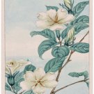 7808.Decoration Poster.Home Room wall interior art design.Japanese flowers decor