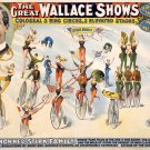 6765.Wallace Circus Show acts POSTER.Home office room Decor.Wall art design