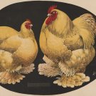 9674.Decoration Poster.Room Wall art.Home interior decor.Farm keystone chicken