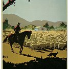 7864.Decoration Poster.Home Room wall interior art design.Australia sheep herd