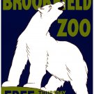 7573.Decoration Poster.Home Room wall art design.Brookfield Zoo.Polar bear decor