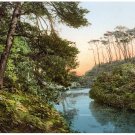 5275.River in the middle of a rain forrest.POSTER.Decoration.Wall Art 5275.River in the middle of a rain forrest.POSTER.Decoration.Wall Art