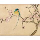12268.Decoration POSTER.Room interior wall art decor.Chinese painting.Asian Bird