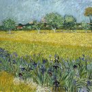 Decoration Poster.Flowers field.Van Gogh art painting.Home Room dorm decor.11353