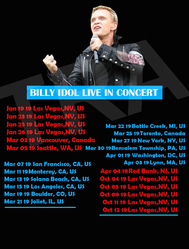 billy idol tour merchandise