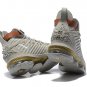 Nike LeBron 16 Limited Special Series