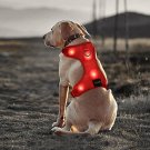 LED Dog Collar Rechargeable Walking Accessory Adjustable Belt Padded Large Dogs