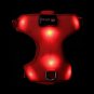LED Dog Collar Rechargeable Walking Accessory Adjustable Belt Padded Large Dogs