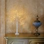 EAMBRITE 2FT 24LT Warm White LED Battery Operated Birch Tree Light Tabletop Tree