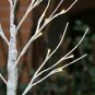 EAMBRITE 2FT 24LT Warm White LED Battery Operated Birch Tree Light Tabletop Tree
